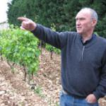 Le Vigneron Alain Graillot